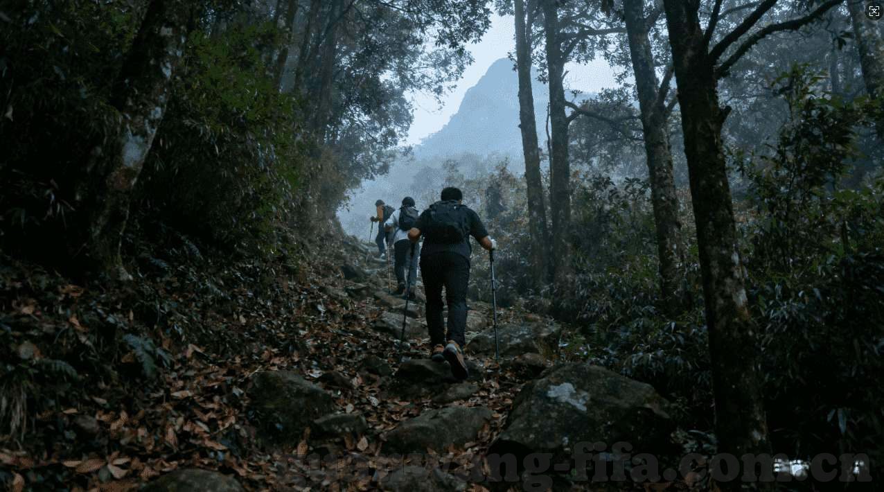 世界杯彩票兑奖地点-世界杯彩票兑奖地点，便捷与安全并重的选择